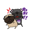 パグぱぐバラエティ☆（個別スタンプ：1）