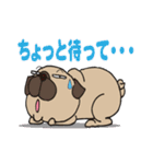 パグぱぐバラエティ☆（個別スタンプ：8）
