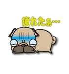 パグぱぐバラエティ☆（個別スタンプ：13）