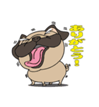 パグぱぐバラエティ☆（個別スタンプ：19）
