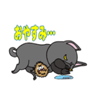 パグぱぐバラエティ☆（個別スタンプ：20）