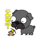 パグぱぐバラエティ☆（個別スタンプ：22）