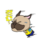 パグぱぐバラエティ☆（個別スタンプ：23）