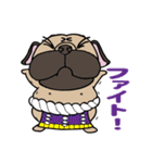 パグぱぐバラエティ☆（個別スタンプ：24）