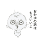 ヒヨコネコ（個別スタンプ：4）