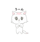 ヒヨコネコ（個別スタンプ：23）