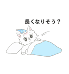 ヒヨコネコ（個別スタンプ：25）