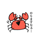 Sea paradise（個別スタンプ：1）