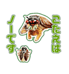 ミンミン ライフ（個別スタンプ：13）