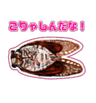ミンミン ライフ（個別スタンプ：26）