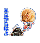 ミンミン ライフ（個別スタンプ：29）