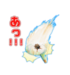 ミンミン ライフ（個別スタンプ：30）