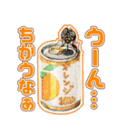 ミンミン ライフ（個別スタンプ：33）