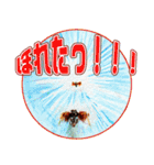 ミンミン ライフ（個別スタンプ：37）
