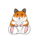 ハムスタースタンプ 日本語バージョン（個別スタンプ：4）