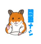 ハムスタースタンプ 日本語バージョン（個別スタンプ：10）