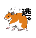 ハムスタースタンプ 日本語バージョン（個別スタンプ：12）