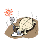 Tortoise diary（個別スタンプ：11）