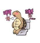 Tortoise diary（個別スタンプ：14）