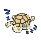 Tortoise diary（個別スタンプ：18）