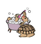 Tortoise diary（個別スタンプ：24）