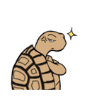 Tortoise diary（個別スタンプ：28）