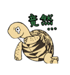 Tortoise diary（個別スタンプ：39）