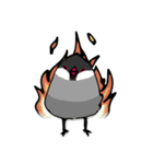 文鳥ぷらす（個別スタンプ：4）