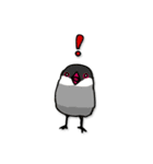 文鳥ぷらす（個別スタンプ：6）