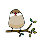 文鳥ぷらす（個別スタンプ：7）