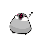 文鳥ぷらす（個別スタンプ：13）