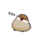 文鳥ぷらす（個別スタンプ：14）