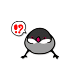 文鳥ぷらす（個別スタンプ：19）