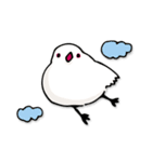 文鳥ぷらす（個別スタンプ：20）