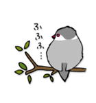 文鳥ぷらす（個別スタンプ：23）