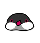 文鳥ぷらす（個別スタンプ：25）