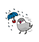文鳥ぷらす（個別スタンプ：32）