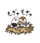 文鳥ぷらす（個別スタンプ：35）