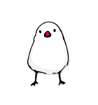 文鳥ぷらす（個別スタンプ：37）