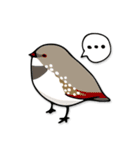 文鳥ぷらす（個別スタンプ：39）