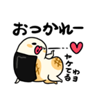 いそべくん（個別スタンプ：33）