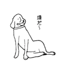 ビーグル犬タロー（個別スタンプ：4）