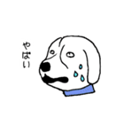 ビーグル犬タロー（個別スタンプ：21）