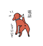 ビーグル犬タロー（個別スタンプ：34）