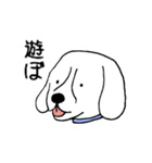 ビーグル犬タロー（個別スタンプ：39）