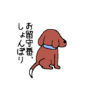 ビーグル犬タロー（個別スタンプ：40）