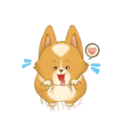 Browpy The Corgi（個別スタンプ：1）