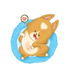 Browpy The Corgi（個別スタンプ：5）