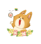 Browpy The Corgi（個別スタンプ：6）