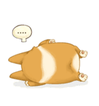 Browpy The Corgi（個別スタンプ：10）